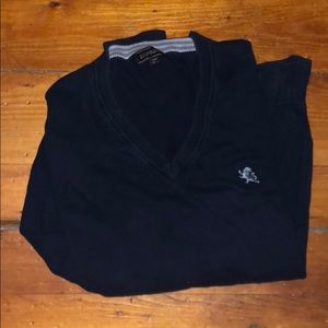 Navy Blue express v-neck sweater